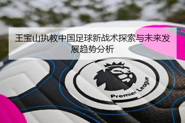 王宝山执教中国足球新战术探索与未来发展趋势分析