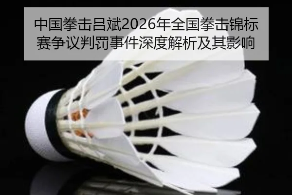 中国拳击吕斌2026年全国拳击锦标赛争议判罚事件深度解析及其影响